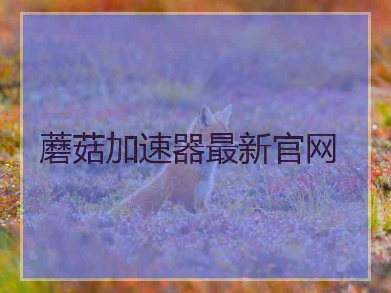 蘑菇加速器最新官网